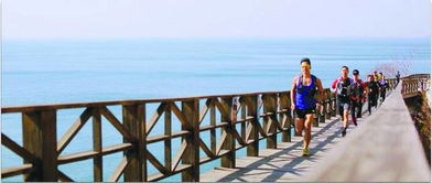 519中國旅游日 青島推出多樣主題活動，提供便捷旅游信息咨詢